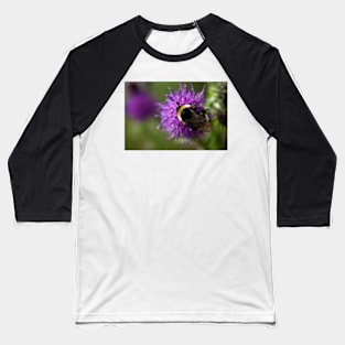 Bumble Bee on a thistle macro Baseball T-Shirt